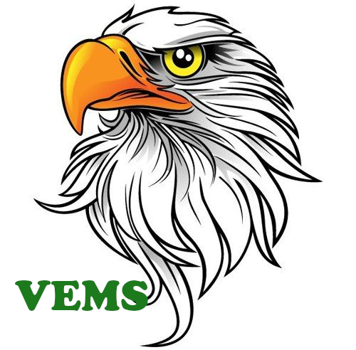 VEMS Eagle 